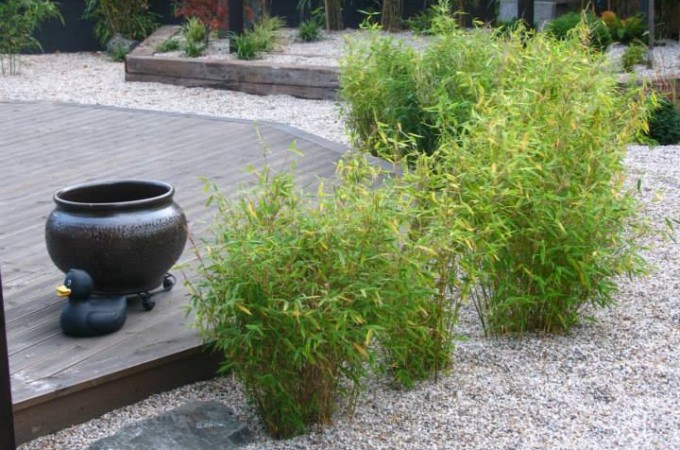 Pågående projekt i Vejbystrand ”japan-inspirerad utemiljö”<p>Pågående projekt i Vejbystrand ”japan-inspirerad utemiljö”</p> Pågående projekt i Vejbystrand ”japan-inspirerad utemiljö”