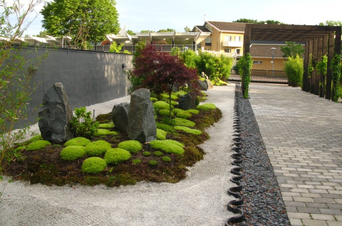 IMG_6575 IMG_6575