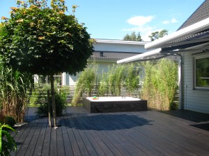 pagaende02